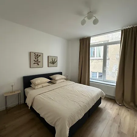 1- Nid Lumineux 2 Au Coeur D'ixelles