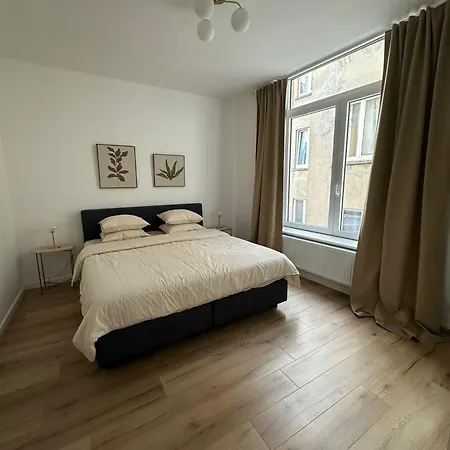 1- Nid Lumineux 2 Au Coeur D'ixelles 브뤼셀